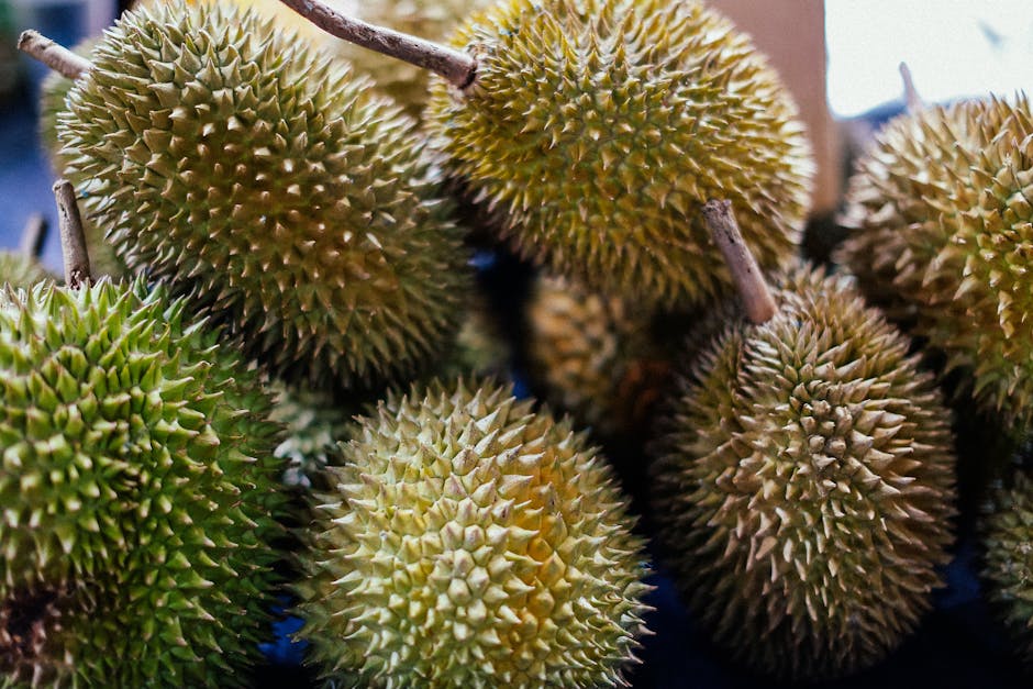 A pile of fresh durians with sharp spikes on display at a market.